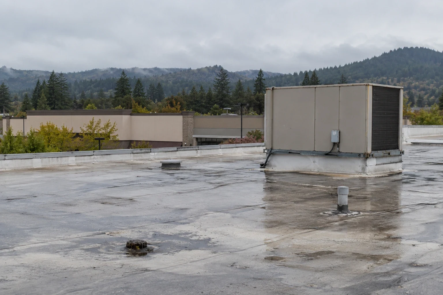 Grocery Store Roofing in Kent, WA