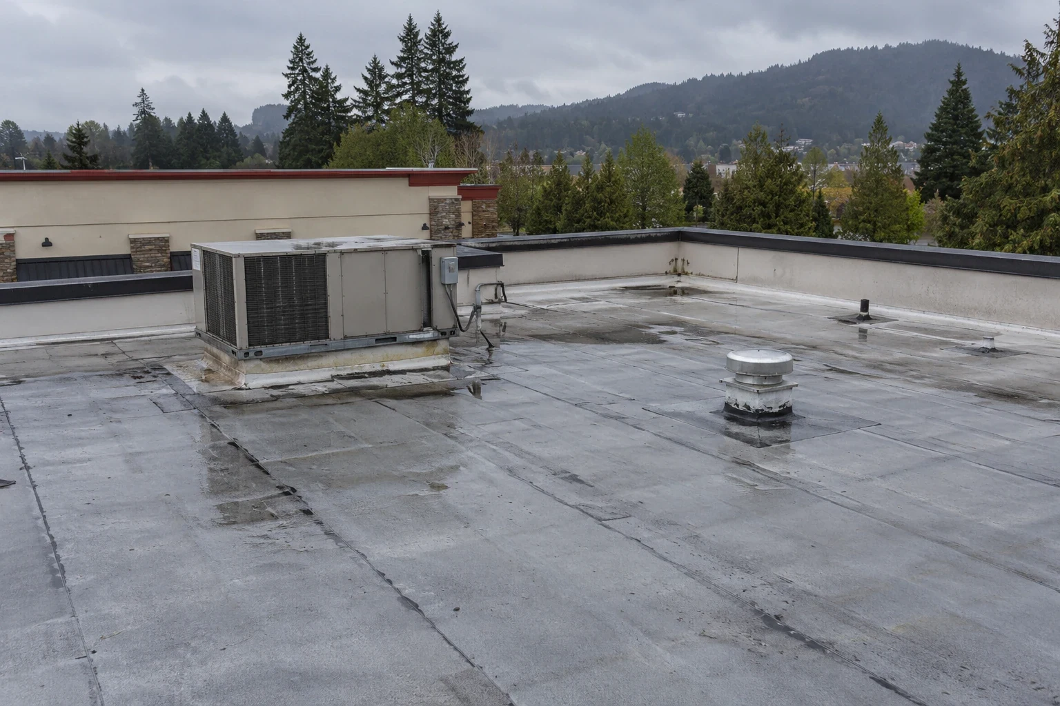 Restaurant Roofing in Kent, WA