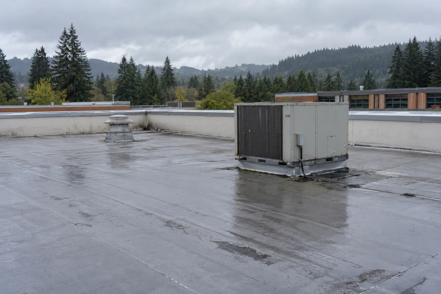 School Roofing in Kent, WA