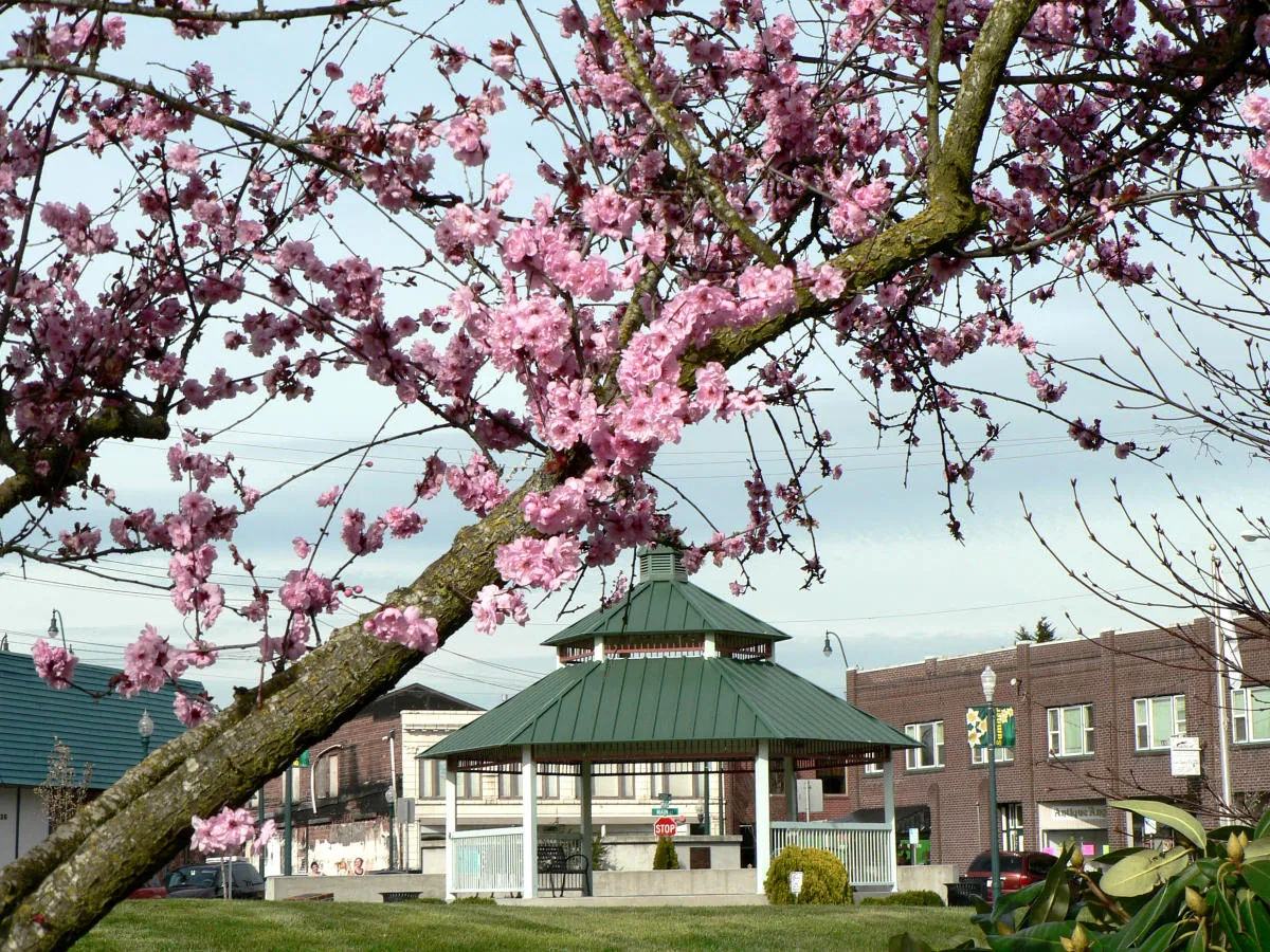 Commercial Roofing at Sumner Town Center, Sumner, WA Commercial Roofing at Sumner Town Center, Sumner, WA
